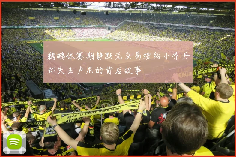 鹈鹕休赛期静默无交易续约小乔丹却失去卢尼的背后故事